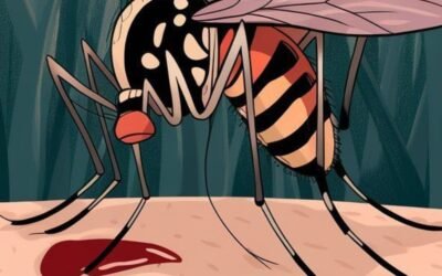 What blood type do mosquitoes like the most